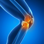 Knee Joint Ankle Minneapolis