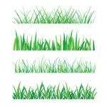 grass turf