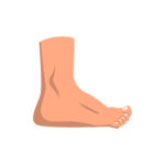 ankle gout