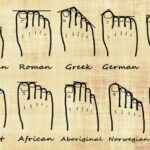 foot shape genealogy