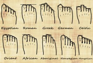 foot shape genealogy